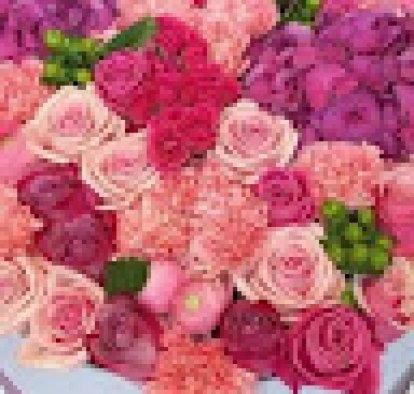 Лилия Борхаленко